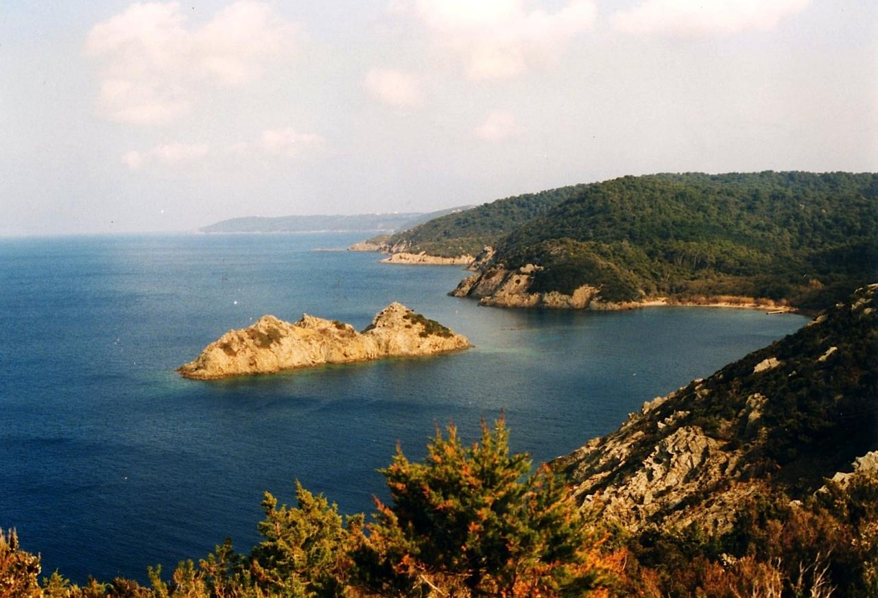 Port-Cros  - Île RASCAS vue de la pointe MILADOU