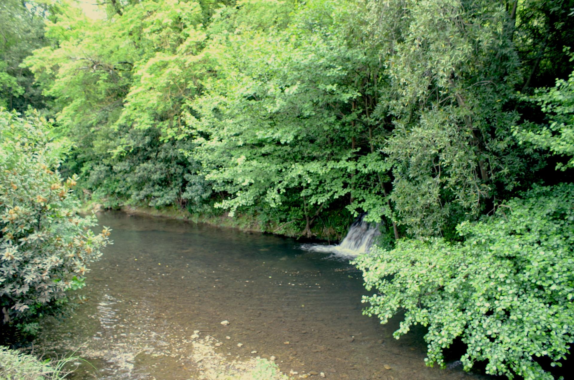 1 Le Gapeau