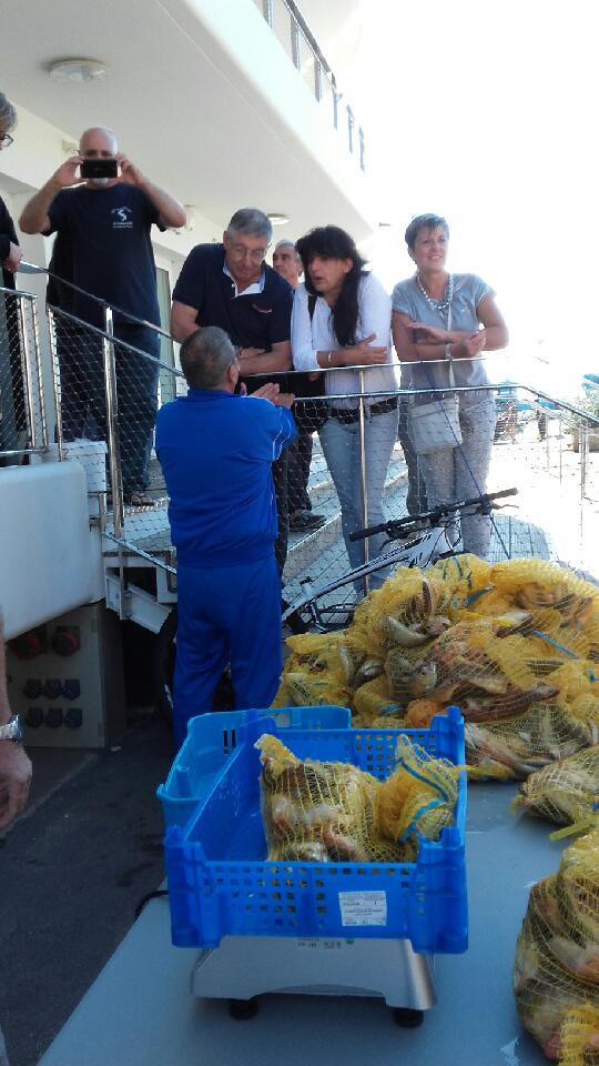 Concours de pêche  - la pesée