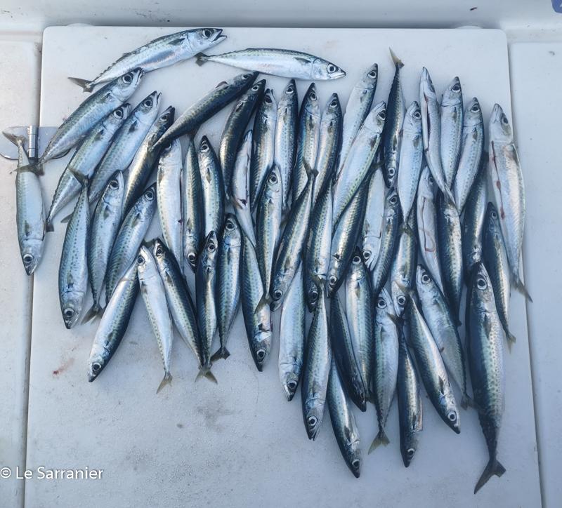 Deuxième prix pour le poids pêché