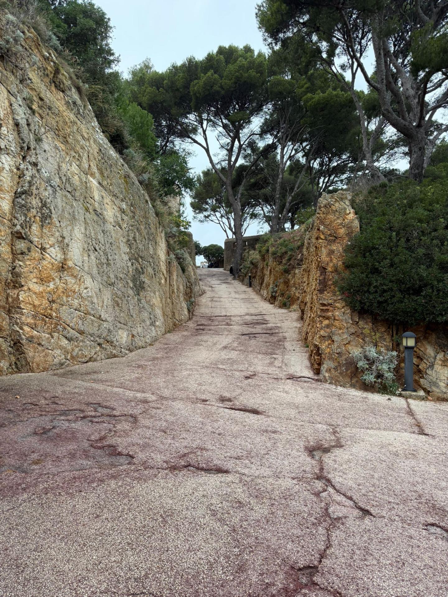 Img 20251027 wa0023 1