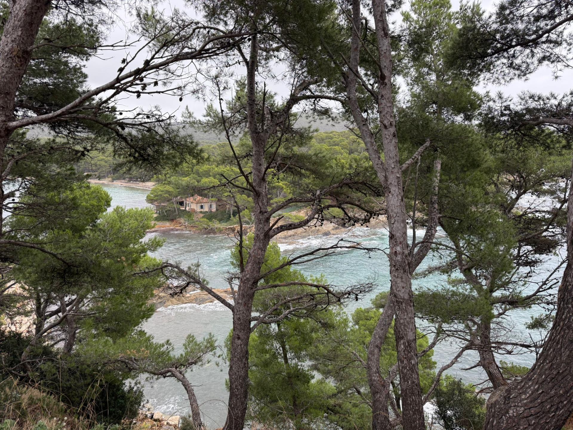 Img 20251027 wa0026 1