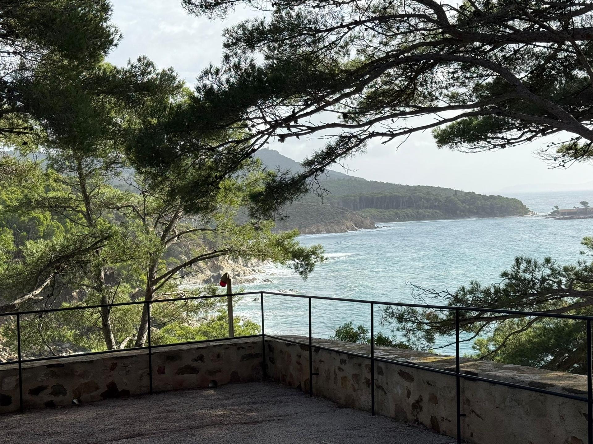 Img 20251027 wa0041 1