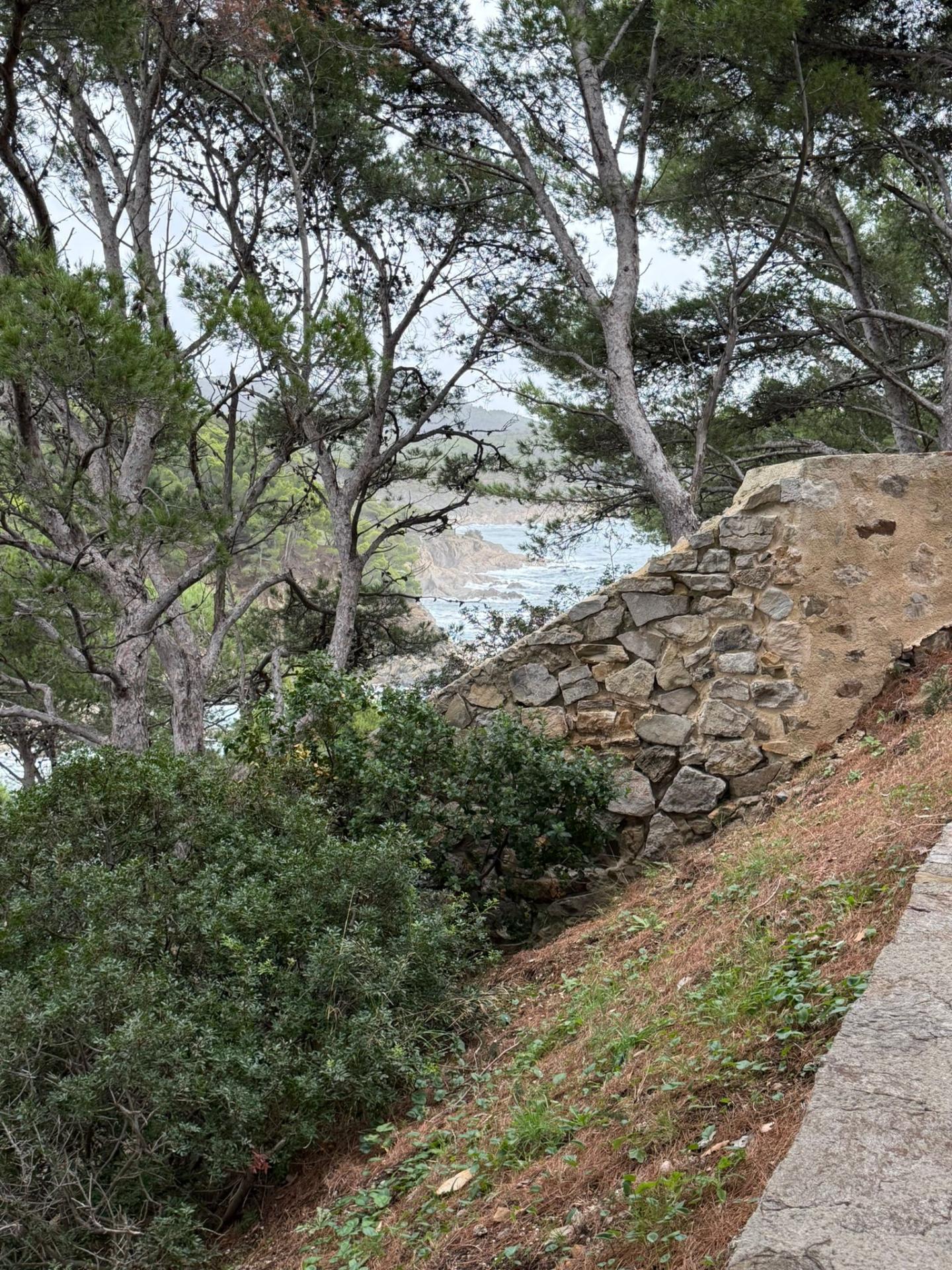 Img 20251027 wa0042 1