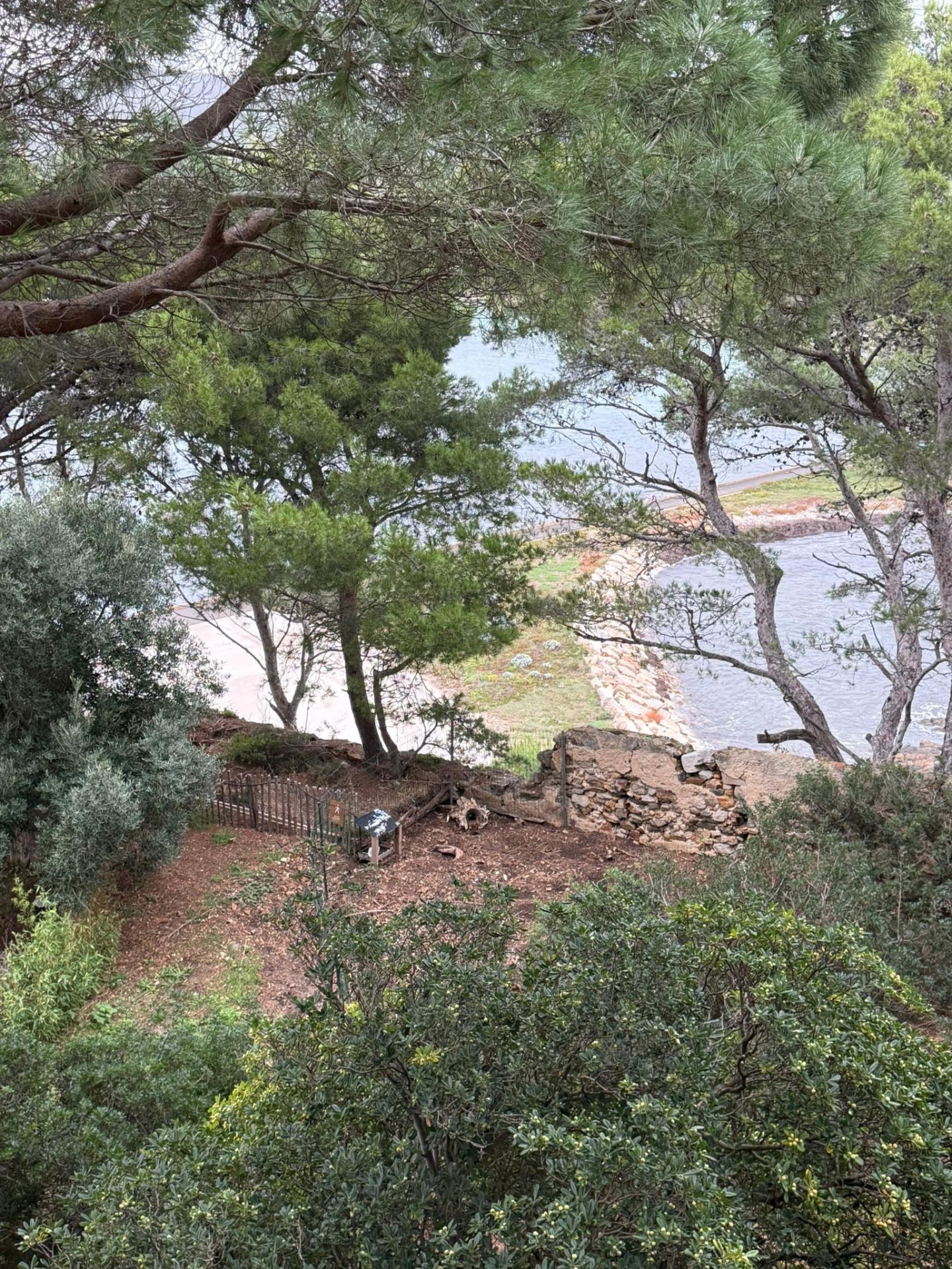 Img 20251027 wa0043 1