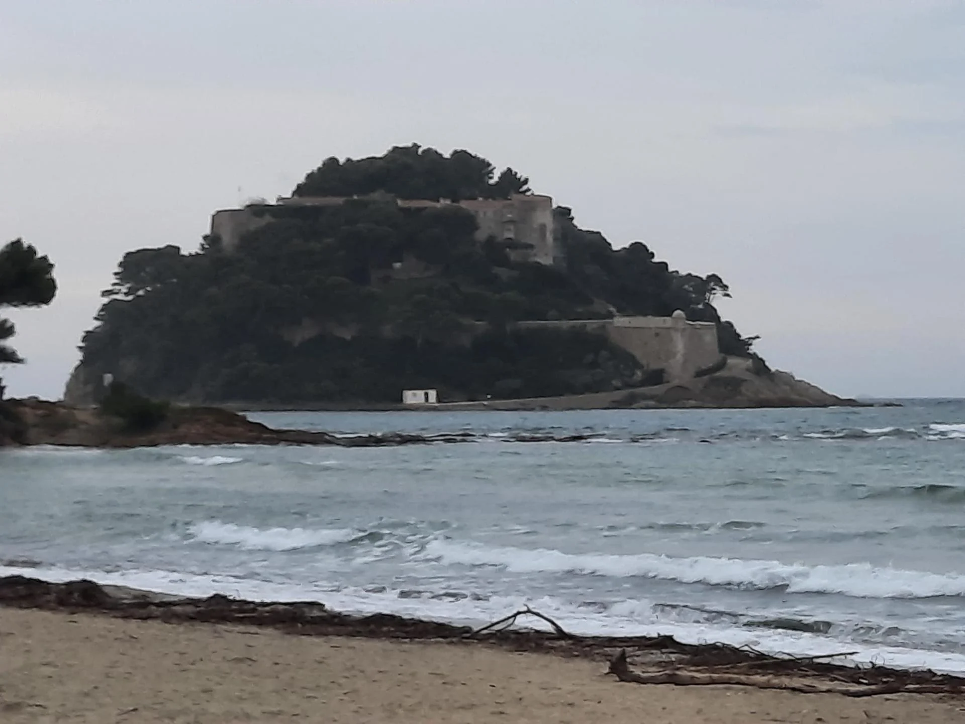 Img 20251101 wa0000 1