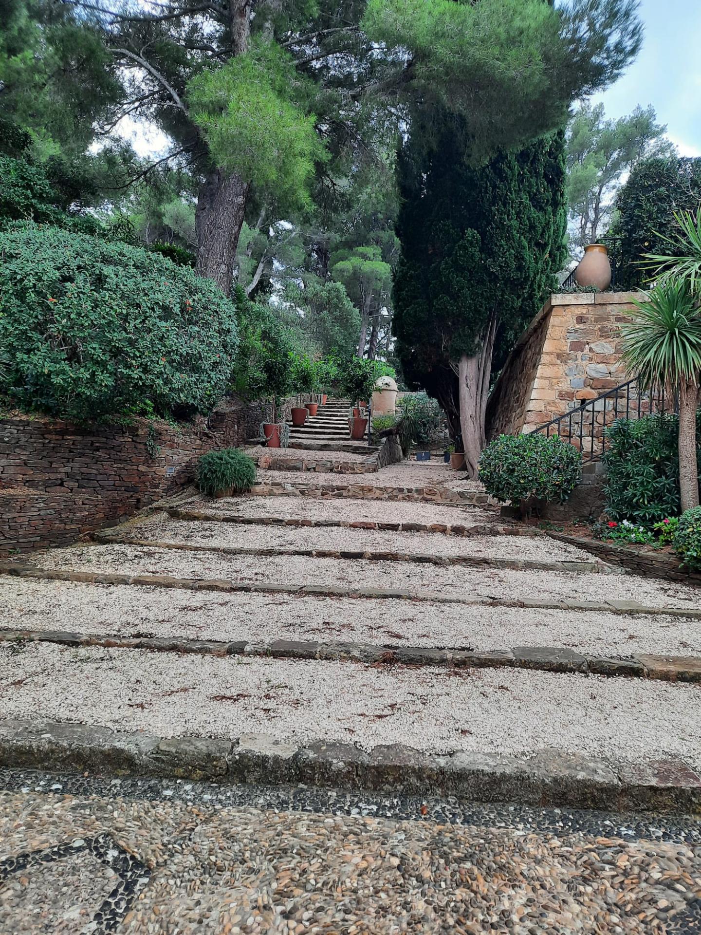 Img 20251101 wa0003 1