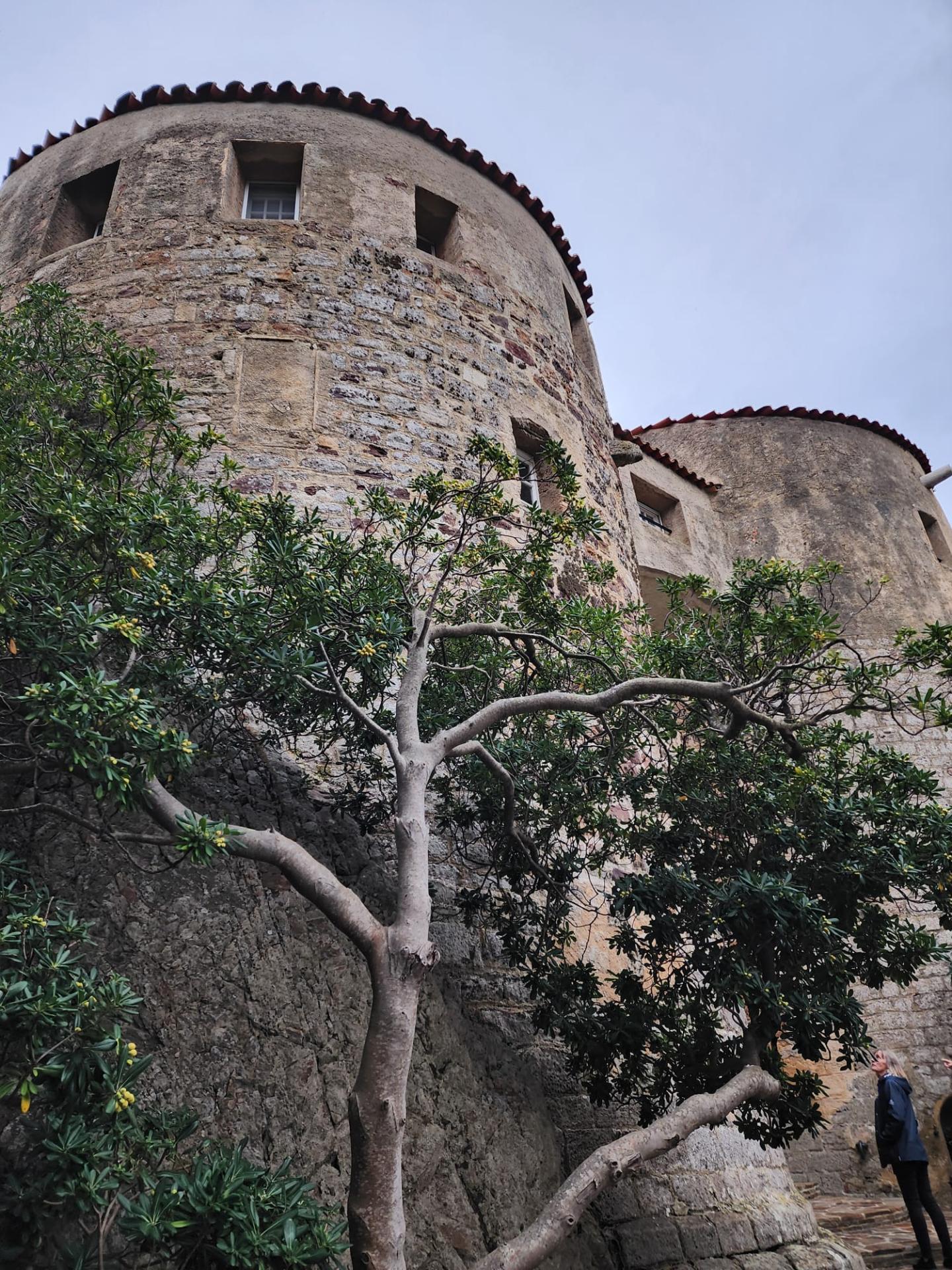 Img 20251101 wa0009 1