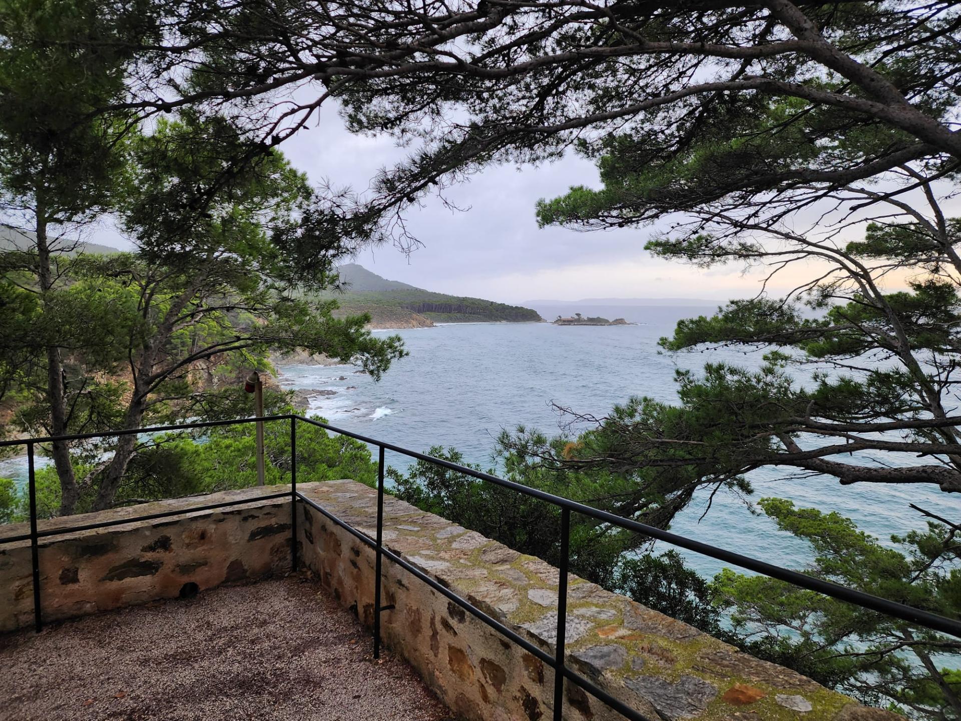 Img 20251101 wa0012 1