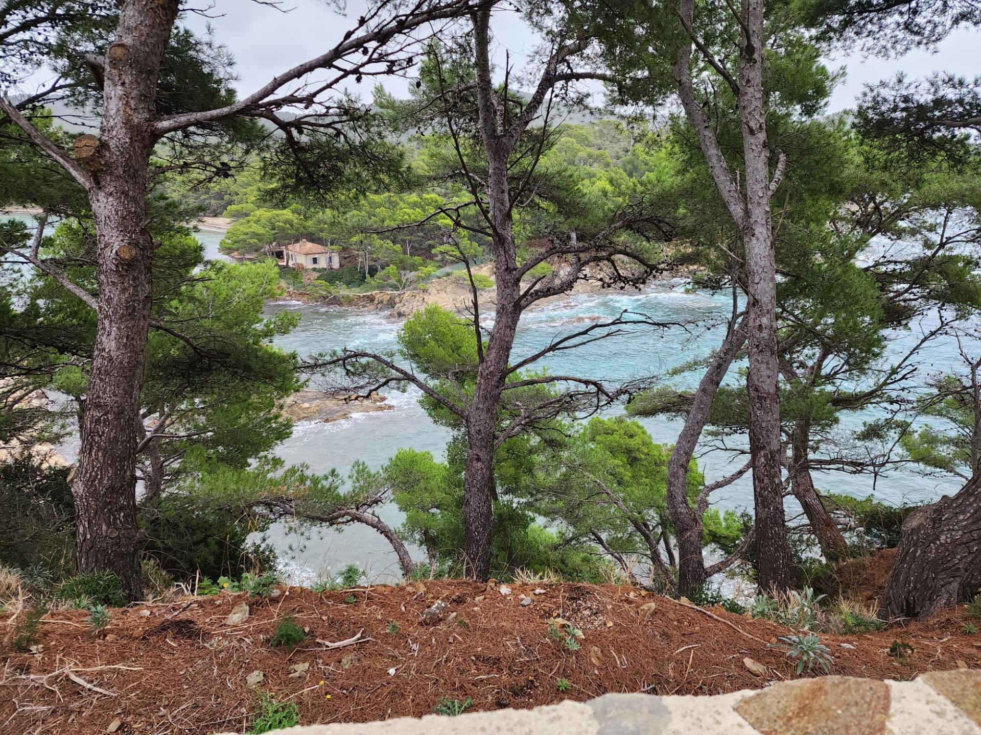 Img 20251101 wa0015 1